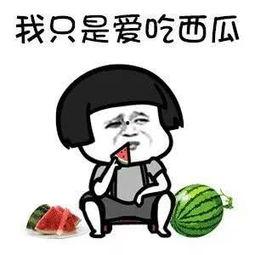 娱乐圈吃瓜入口是什么