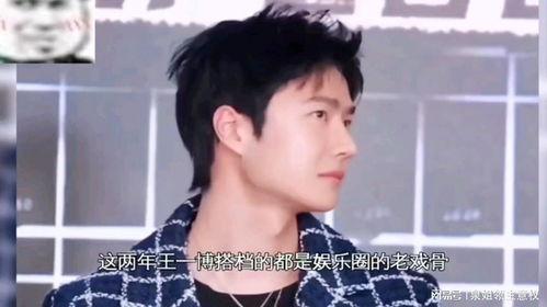 娱乐吃瓜大会综艺,揭秘娱乐圈幕后故事与明星幕后花絮